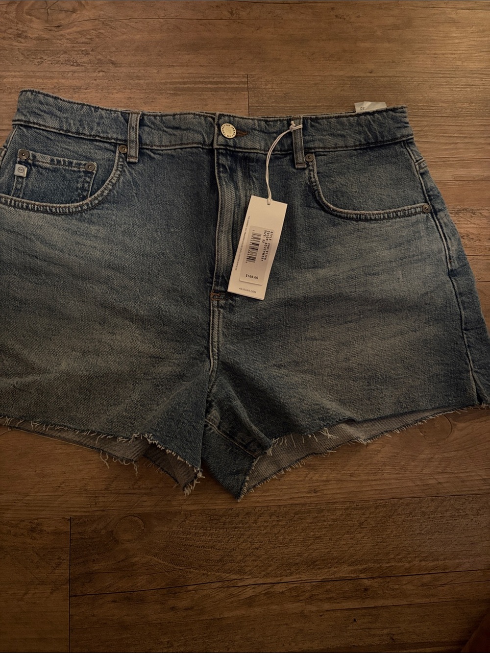 Aritzia Denim High-Rise Frayed Hem Shorts in Faded Blue